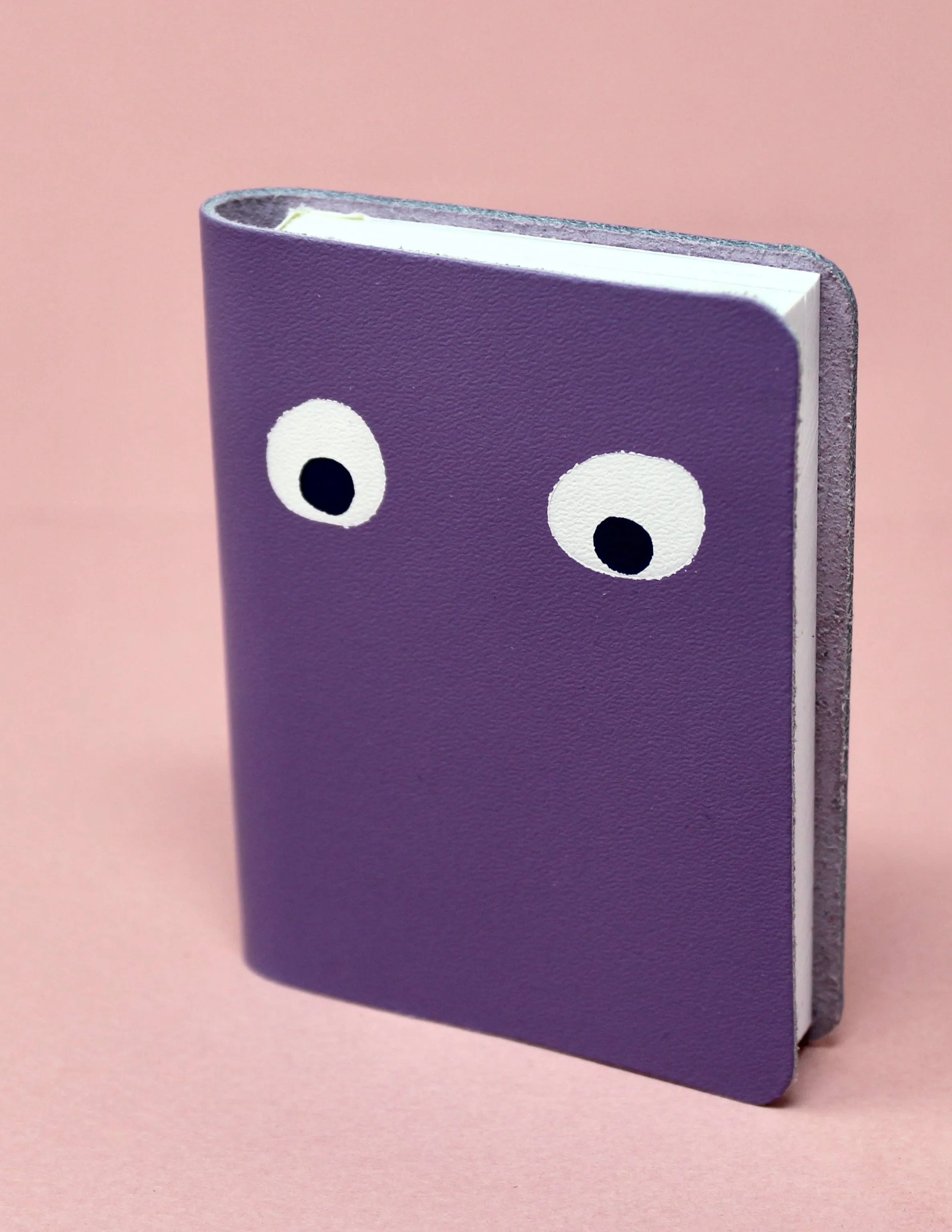 Googly Eye Mini Leather Notebook