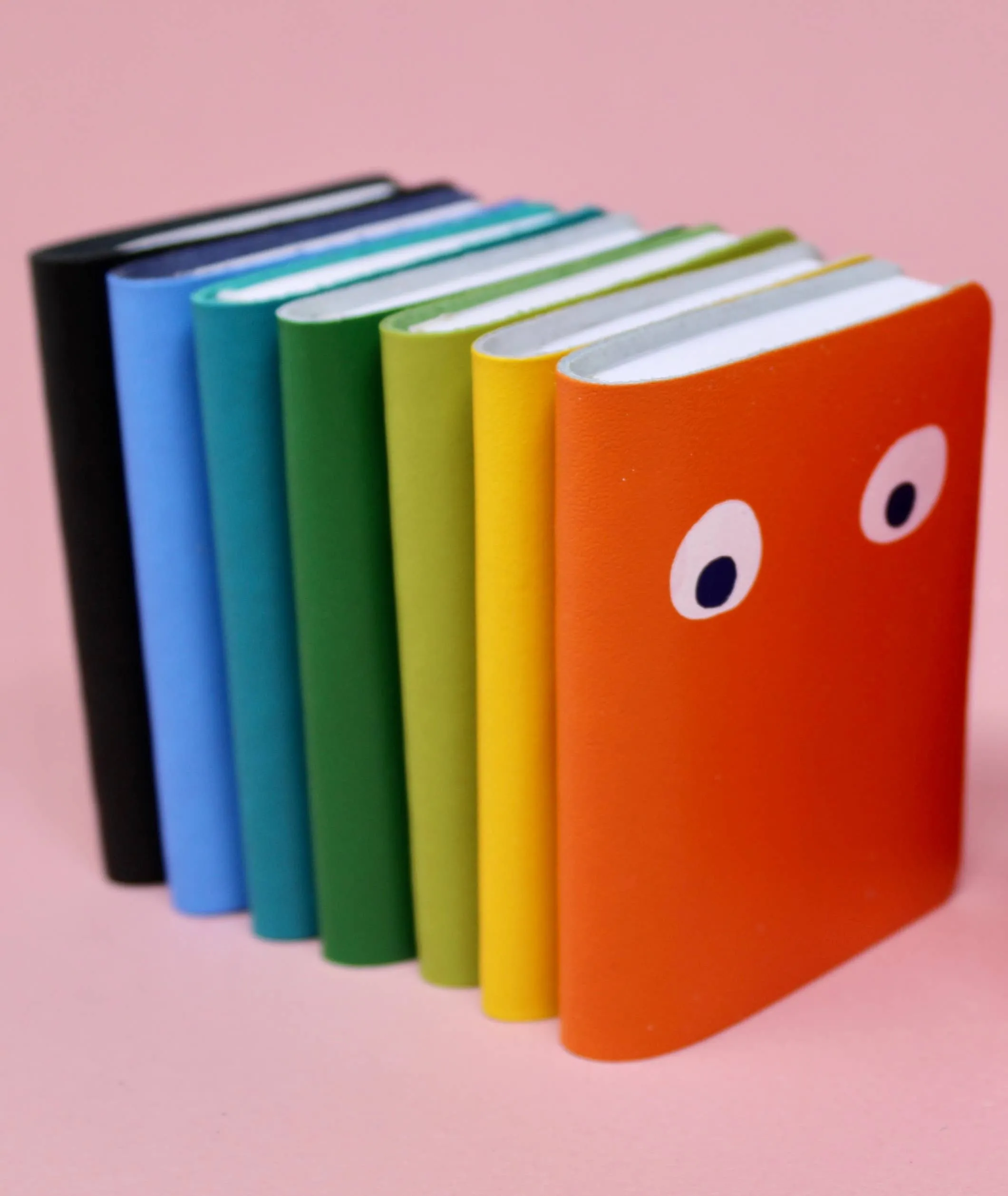 Googly Eye Mini Leather Notebook