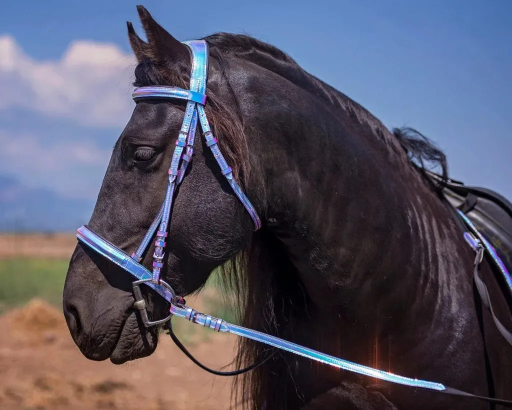 Iridescent Bridles Limited Edition