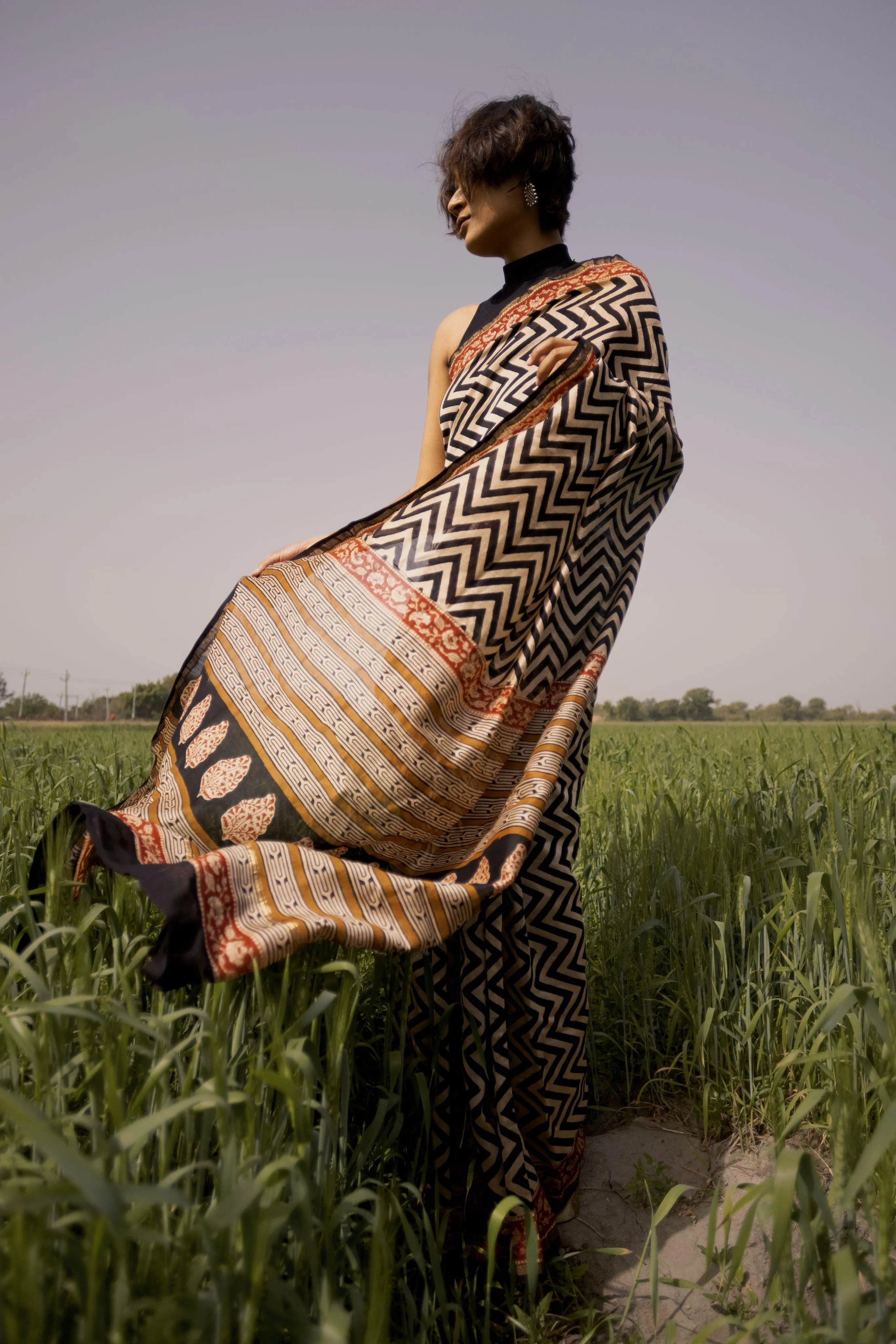 Roheda Chevron Syahi Begar Chanderi Saree