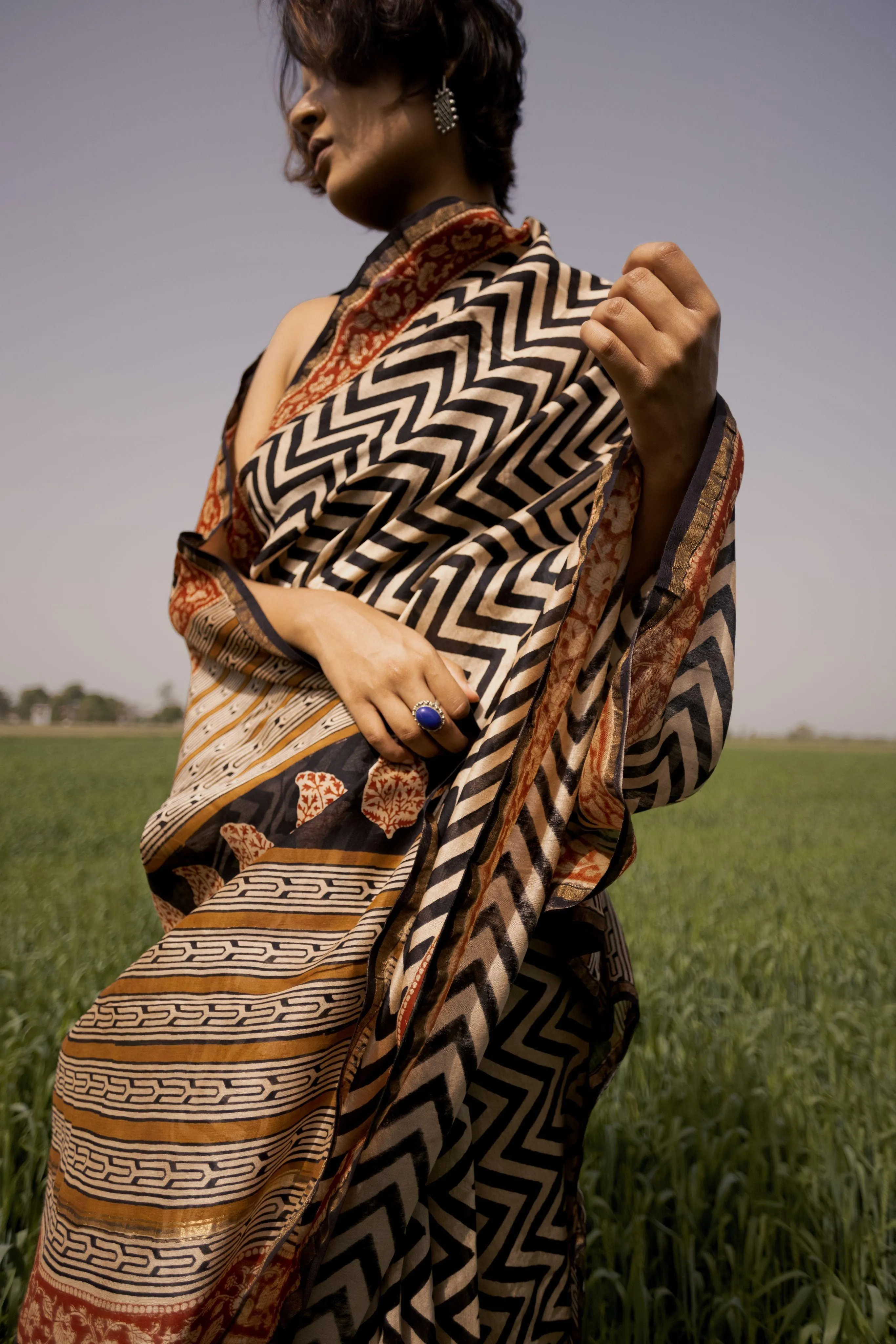 Roheda Chevron Syahi Begar Chanderi Saree